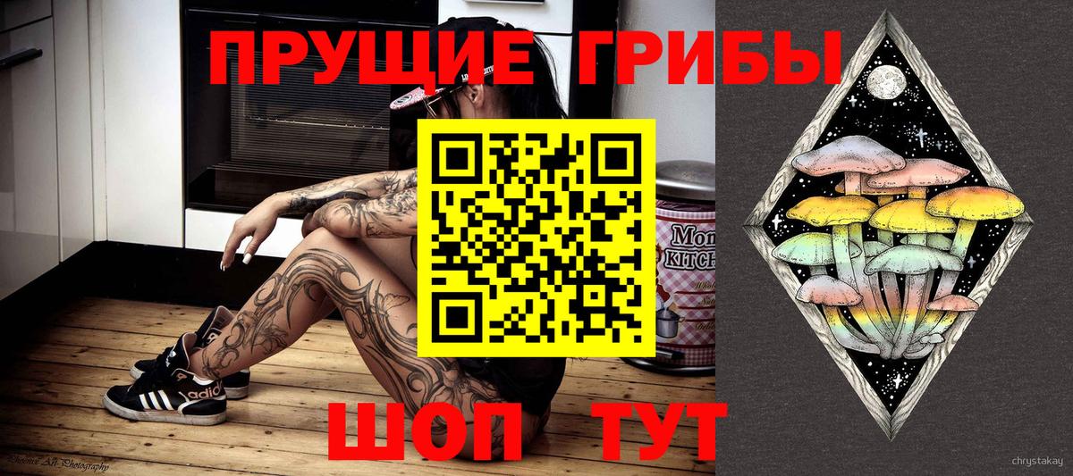 Галлюциногенные грибы MAGIC MUSHROOMS  Вход с VPN  Краснознаменск  Галлюциногенные грибы GOLDEN TEACHER 